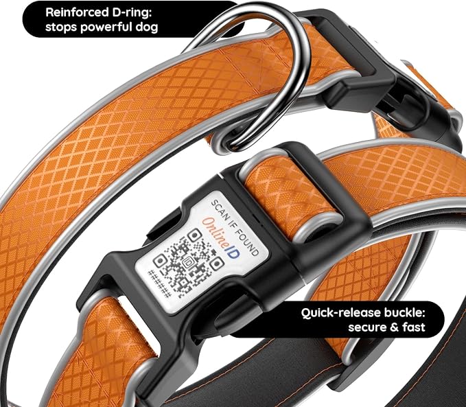 Reflective Dog Collar with QR Code Tag, Orange, S (9.8"-15.7")