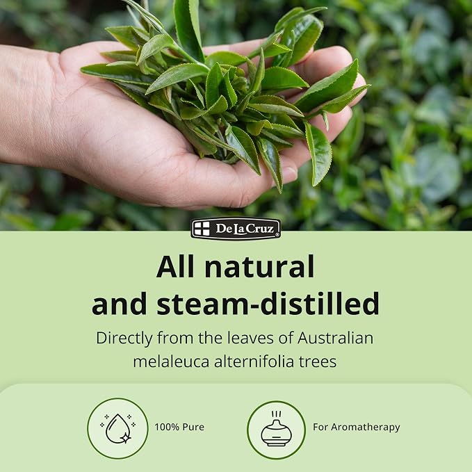 De La Cruz 100% Pure Tea Tree Oil - Steam Distilled Tea Tree Essential Oil for Aromatherapy - 2 FL OZ (6 Bottles)