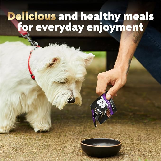 Cesar Mini-Pouch Wet Dog Food, Angus Beef Flavor, 1.76 oz, 20 Count | Real beef, protein-packed, no fillers or artificial flavors, slow-cooked tender texture, serve as meal, snack, or topper