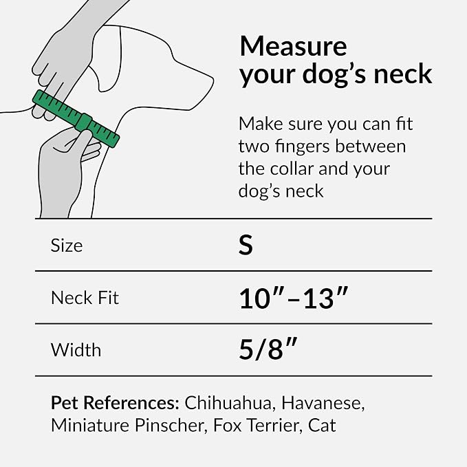 CollarDirect Nylon Dog Collar with Buckle Tribal Pattern Puppy Adjustable Collars for Dogs Small Medium Large (Pattern 1, Neck Fit 10"-13"