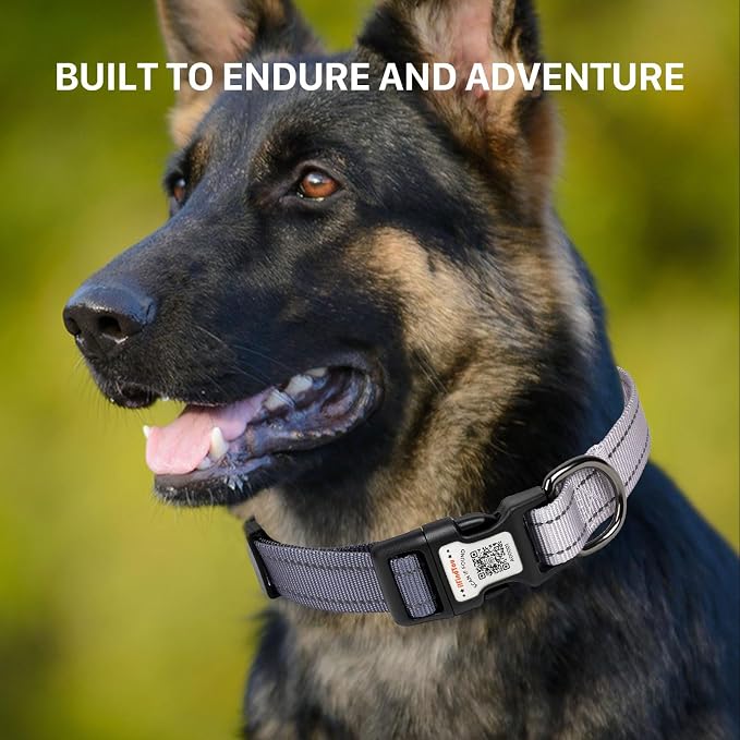 Personalized Dog Collar with QR Code Dog Tag, Black&Gray M | Anti-lost, 1000D nylon, reflective, padded, XS-L(8"-24"), QR buckle shares lost pet profile, location alerts when scanned