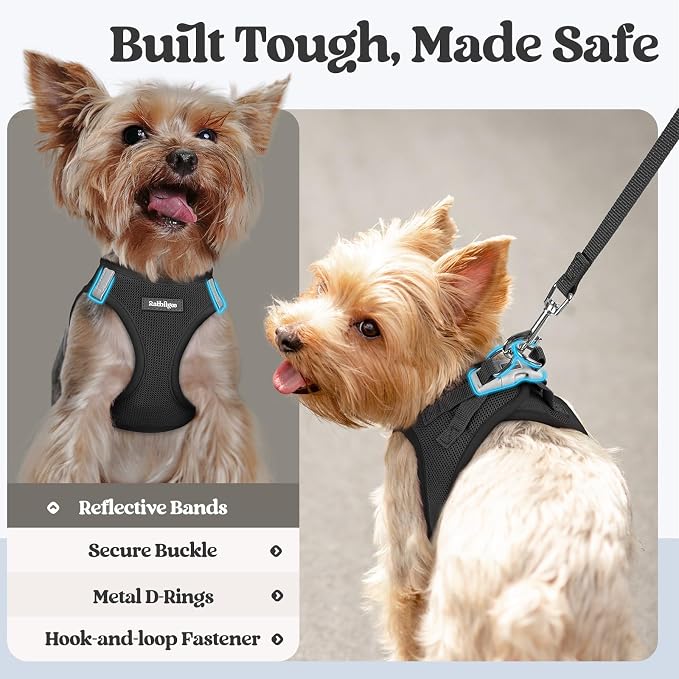 rabbitgoo Dog Harness Small Sized and Leash Set, Step-in Puppy Pet Vest | Light, Soft, Breathable Air Mesh, Easy on and Remove with Hook & Loop, Secure Reflective for Walking, Black XXXS