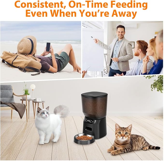 Automatic Cat Feeder, Cat Food Dispenser with Stainless Steel Bowl, Timed Portion Control 20 Portions 6 Meals Per Day, Voice Recorder, Dual Power Supply for Small Dogs