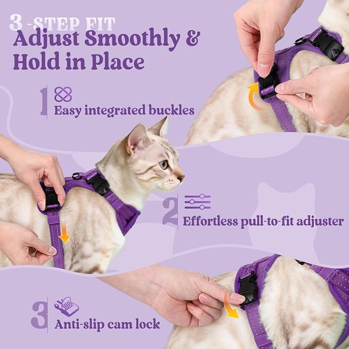 rabbitgoo Cat Harness and Leash, Easy-on with Neck Buckle, Purple
