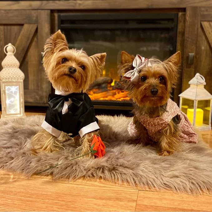 Dog Tuxedo with Bow Tie, Formal Wedding Suit for Small Medium Puppy Dogs | Pet Outfit Party Birthday Clothes, Dog Groom Attire Costume for Halloween Christmas Graduation Cosplay Photo Shoot, Black XL