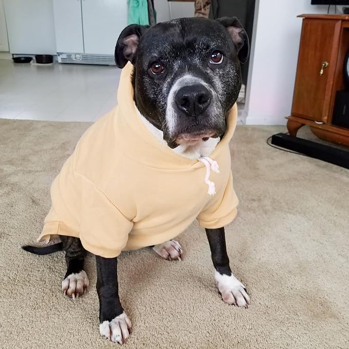 BINGPET Dog Hoodie for Small Medium Dogs, Soft Pullover Pet Sweater | Warm Dog Sweatshirt Clothes, Winter Hooded Outfit for Girl Boy Dogs Puppy, French Pitbull Cold Weather Coats Wear, Beige SM