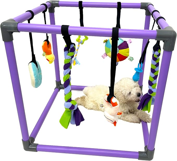 Puppy Play Gym for small dogs with 8 Hanging Interactive Toys Indoor Play