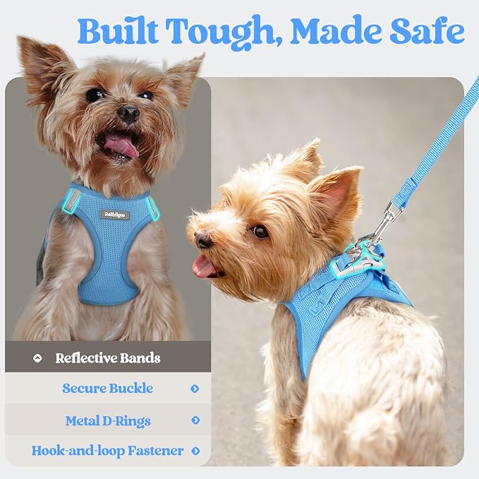 rabbitgoo Dog Harness Small Sized and Leash Set, Step-in Puppy Pet Vest | Light, Soft, Breathable Air Mesh, Easy on and Remove with Hook & Loop, Secure Reflective for Walking, Blue XXXS