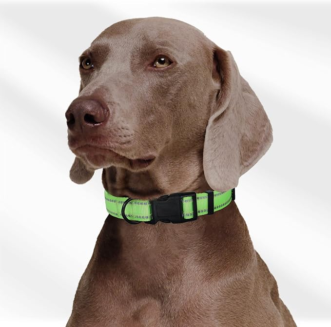 Mile High Life Reflective Dog Collar, Adjustable Lightweight Quick Release