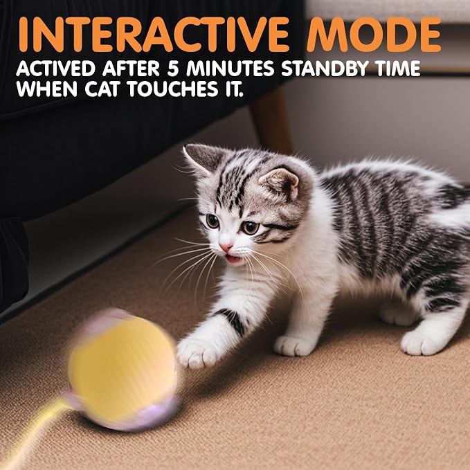Rocfish Durable Interactive Cat Toys for Indoor Cats (Yellow, 01)
