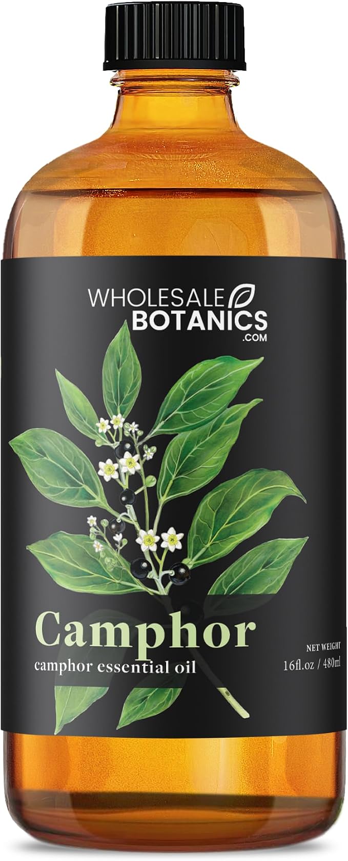 Camphor Essential Oil by Wholesale Botanics | Premium Grade 100% Pure Essential Oil | for Aromatherapy, Soaps, Lotions, & Candles | Vegan & Cruelty Free (16 Fl. Oz.)