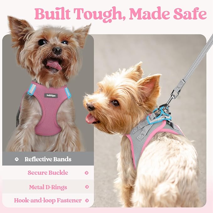 rabbitgoo Dog Harness Small Sized and Leash Set, Step-in Puppy Pet Vest | Light, Soft, Breathable Air Mesh, Easy on and Remove with Hook & Loop, Secure Reflective for Walking, Light Pink & Gray XXS