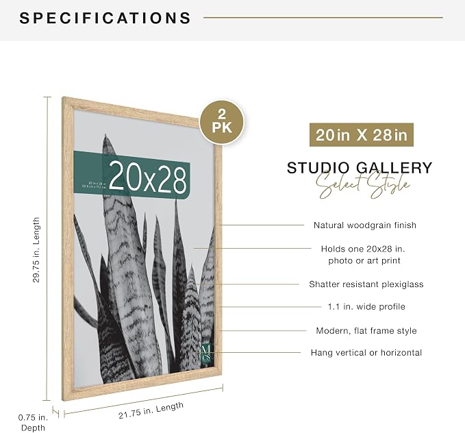 MCS Studio Gallery 20x28 Poster Frame Natural Woodgrain Engineered Wood, Vertical & Horizontal Wall Hanging Large Picture Frame for Photos, Posters & Art Prints (2-Pack)