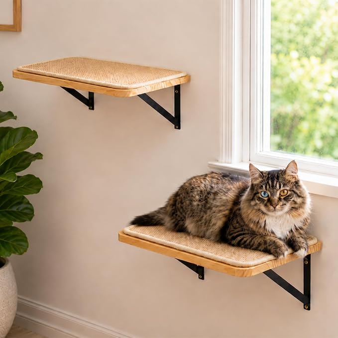 2PCS Cat Wall Shelves with Scratching Mat, 16.6x9.7 Inch Solid Pine Wood Wall Mounted Kitten Floating Shelf, Window Perch Hammock, Cats Wall Furniture for Cats Sleeping, Playing, Climbing