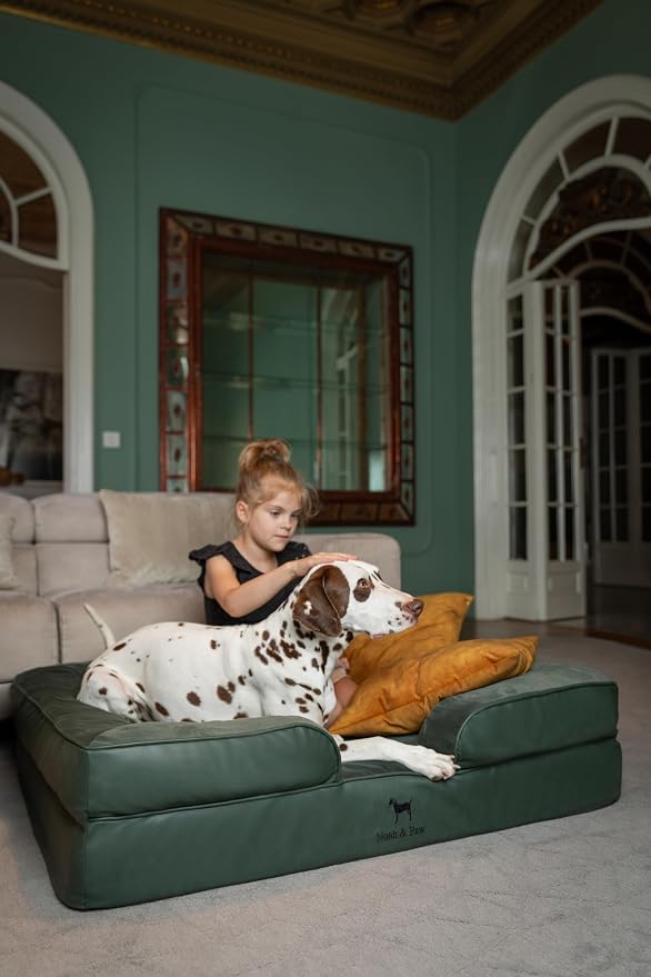 NOAH & PAW XL Dog Bed, 45x35x11 Inch, Orthopedic Large Dog Beds, Eggshell Memory Foam Infused with Cooling Gel, Inner Cover, Water Resistant, Machine Washable (Faux Leather)