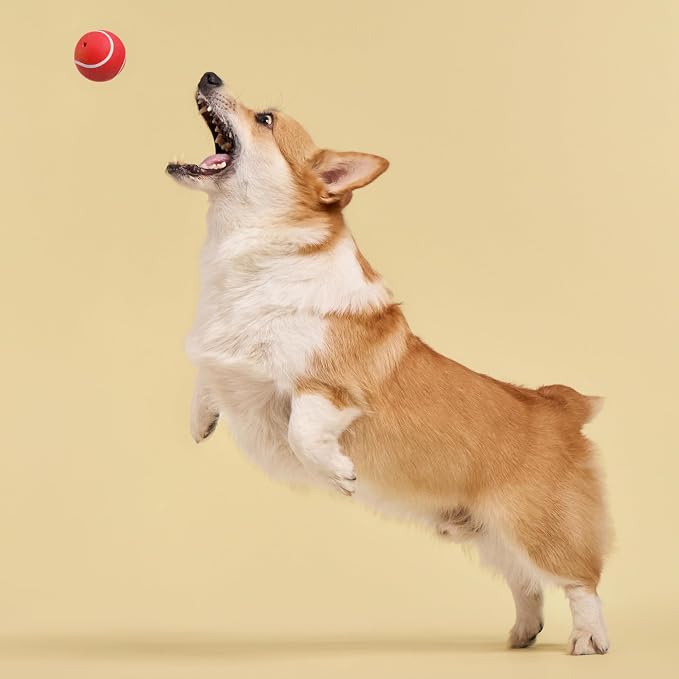 Playology Squeaky Chew Ball Dog Toy - Medium, Beef Scent, 2-Pack