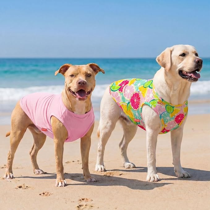 KYEESE 2Pack Dog Shirt, Lightweight Sun Protection Dog T Shirts for Medium Large Dogs Girl, Breathable Mesh Tank Top Sleeveless Pet Reflective Vest, Soft Summer Dogs Clothes, Lemon+Pink, 2XL