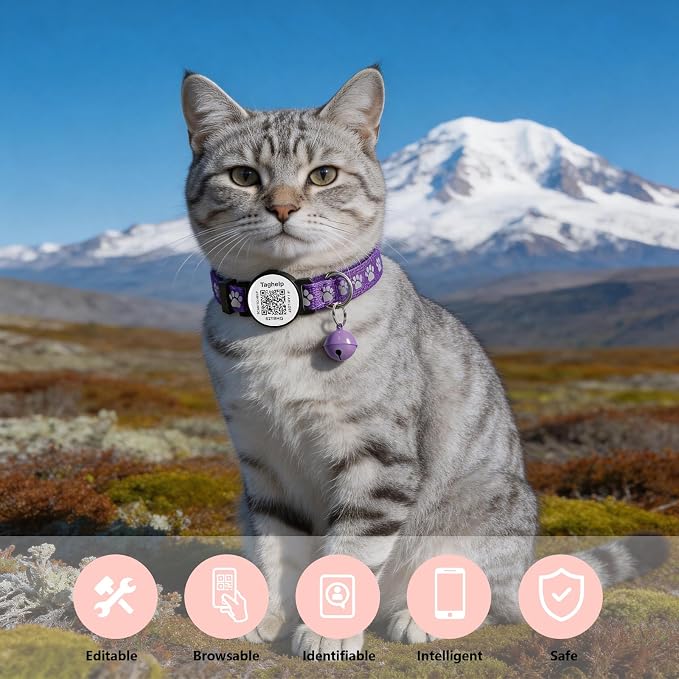Smart QR Code Cat Collar 2-Pack: Your Cat's Digital Safety Profile, Breakaway Reflective Collar with Instant Email Alert When Scanned (Pink & Purple A)