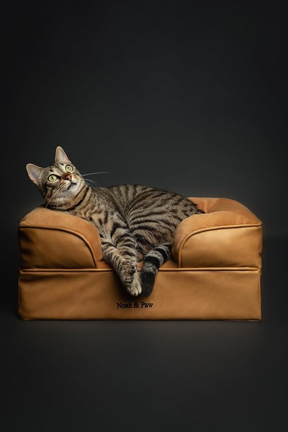 NOAH & PAW Small Dog Bed, 20x15x8 Inch, Cat Bed for Indoor Cats, Orthopedic Eggshell Memory Foam Infused with Cooling Gel, Water Resistant Inner Cover Machine Washable (Faux Leather)