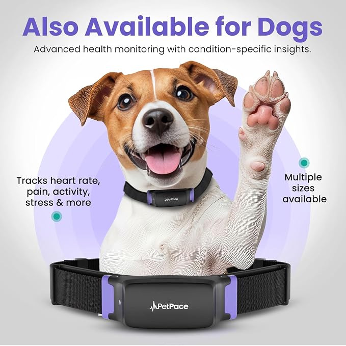 New PetPace V3.0 Cat Health Monitor by PetPace – AI Health Collar with 24/7 Vital Signs Alerts, GPS, Telehealth Consults, AskaVet & Share with Your Vet & SmartWatch Sync – Subscription Required