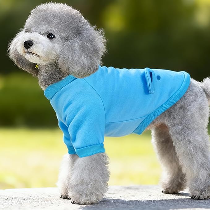 Blue Cute Dog Sweater Soft Winter Clothes for Small Dogs, XL | Classic Blue Knit Pullover, Fall Winter Outfit, Elastic Cuffs, Holiday Party Matching, Machine Washable Sweatshirt for Pets