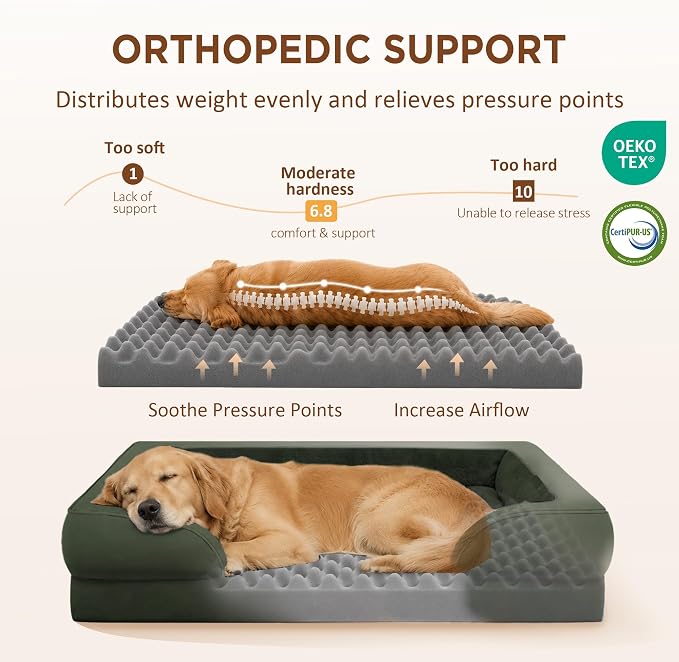 Comfort Expression Waterproof Orthopedic Dog Beds for Large Sized Dog | Supportive Egg Crate Foam Large Pet Bed with Removable Bolster, Dog Couch with Washable Cover & Non-Slip Bottom, 36x27 Inch