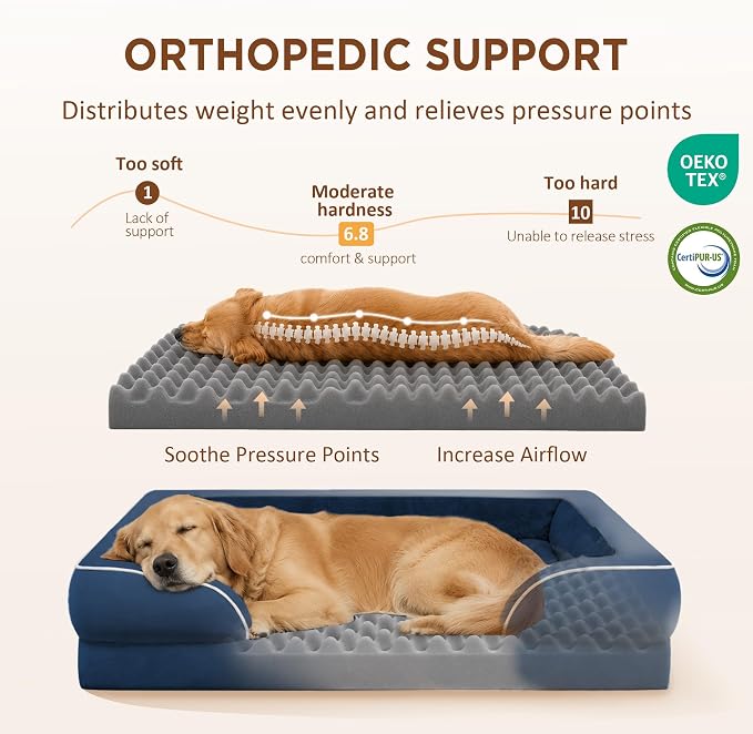 Comfort Expression Waterproof Orthopedic Dog Bed for Medium Size Dog | Supportive Egg Crate Foam Medium Pet Bed with Removable Bolsters, Dog Couch with Washable Cover & Non-Slip Bottom, 30x20 Inch