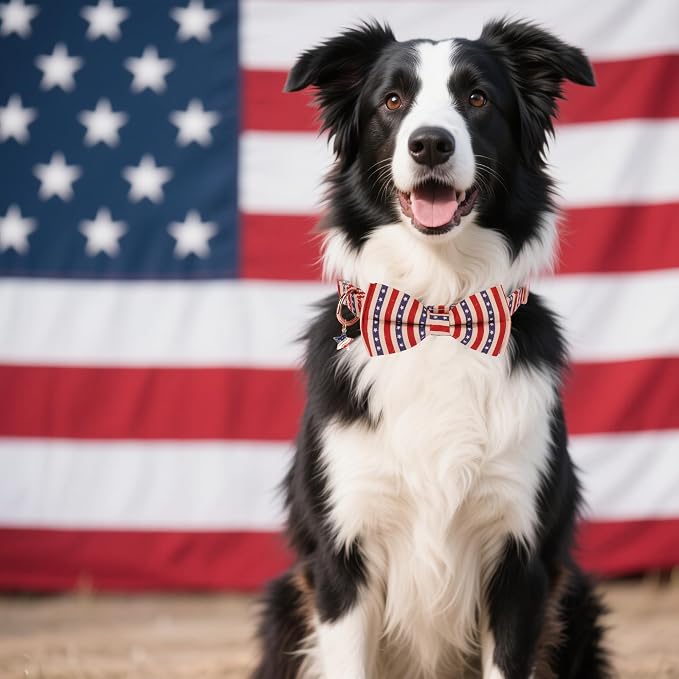 ADOGGYGO American Flag Dog Collar with Bow, Detachable Striped Star Bow, Metal Buckle, Adjustable Patriotic 4th of July Collars for Large Dogs Boy Girl Male Female (Large)