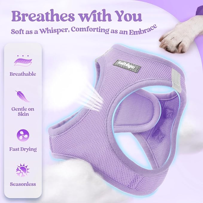 rabbitgoo Dog Harness Medium Sized and Leash Set, Step-in Puppy Pet Vest | Light, Soft, Breathable Air Mesh, Easy on and Remove with Hook & Loop, Secure Reflective for Walking, Light Purple XL