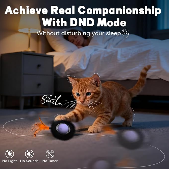 Interactive Cat Toy, Motion Activated Ball & 7 Holes Maze Hide and Seek Mat | Exercise Game for Indoor Cats, Automatic Moving Cat Ball Toy Mouse Catching in Pouch, Rechargeable Kitten Toy, No Cat No Life