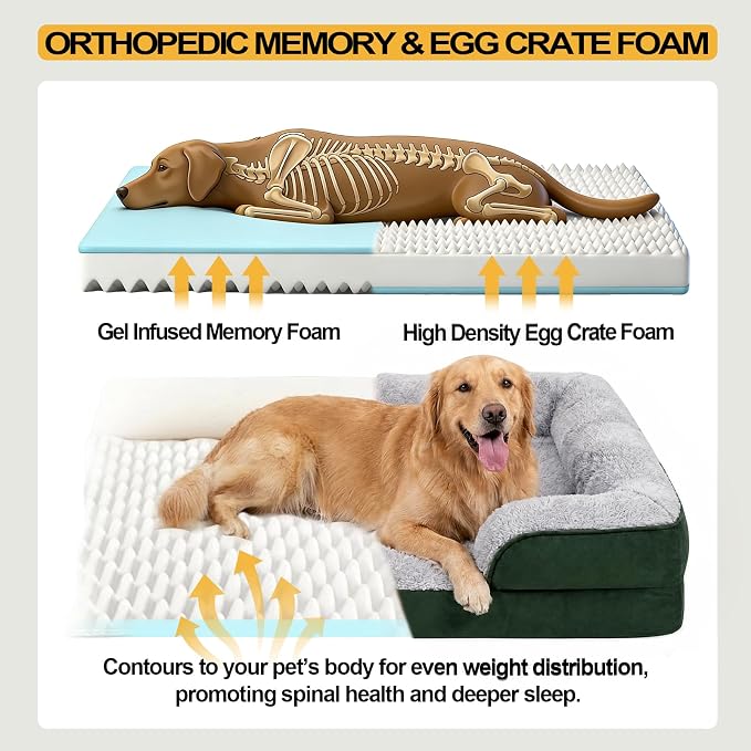 Orthopedic Dog Beds Large Sized Dog, Memory Foam Dog Bed Couch, 36"L | Dual-layer Foam Mat, Washable Cover&Waterproof, Contoured Bolster Design, Indoor&Car Truck, Pet Bed for Dogs Cats Up to 50lbs