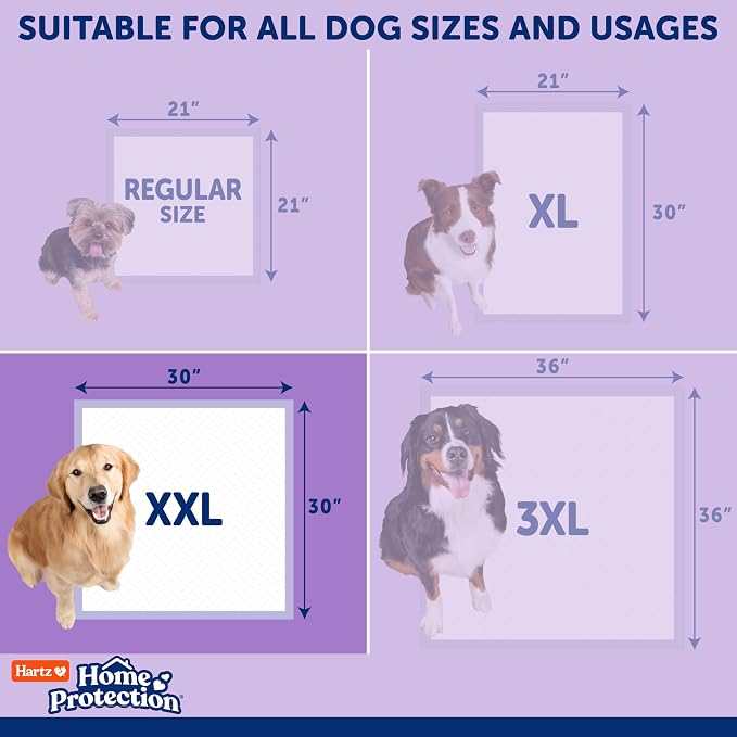Hartz Home Protection Super Absorbent Odor Eliminating Lavender Scented No Leak Dog Pads, XXL 40 Count (Pack of 2)