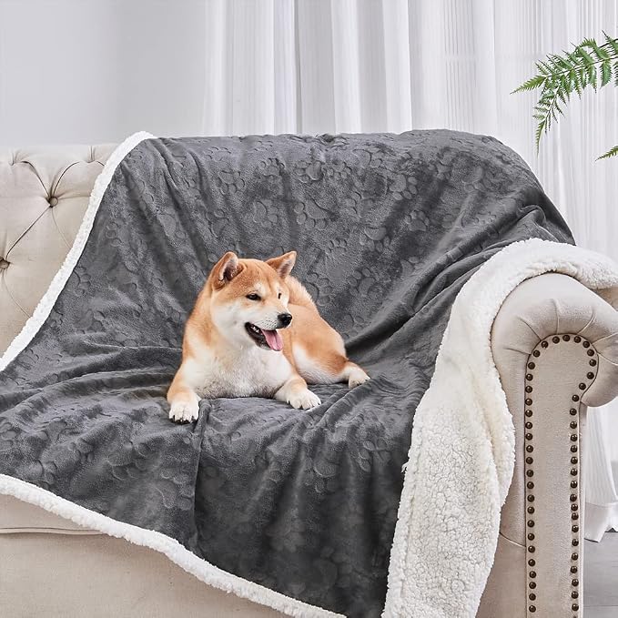 Dog Blankets for Small Dogs - Waterproof Cat Blanket Washable - Sherpa Fleece Puppy Blanket, Soft Plush Reversible Throw Protector for Bed Couch Car Sofa, 30"X40", Dark Grey