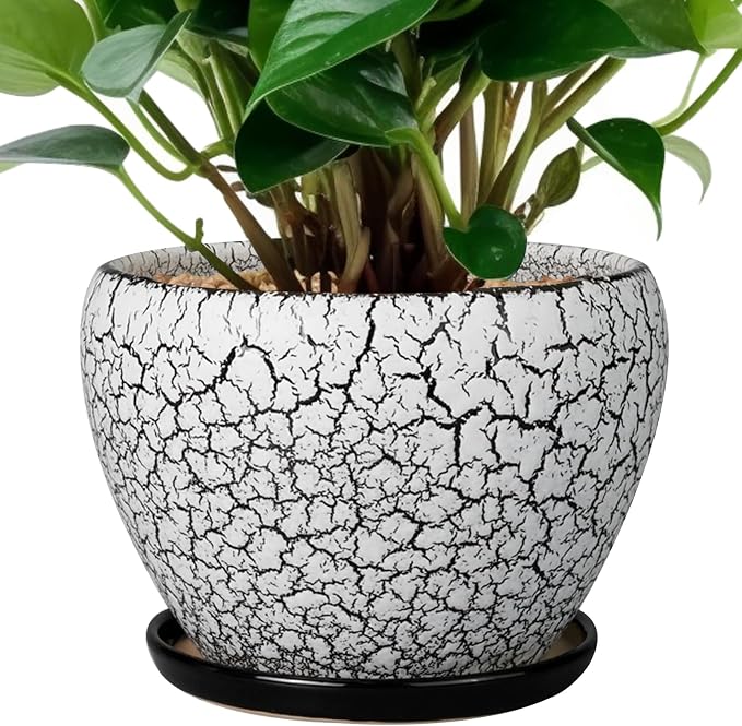 Ceramicfor Ceramic Planter Pot - 6 Inch Plant Pot with Drainage Hole and Saucer, Succulent Pot Glaze Round for Indoor Outdoor Plants, White and Black