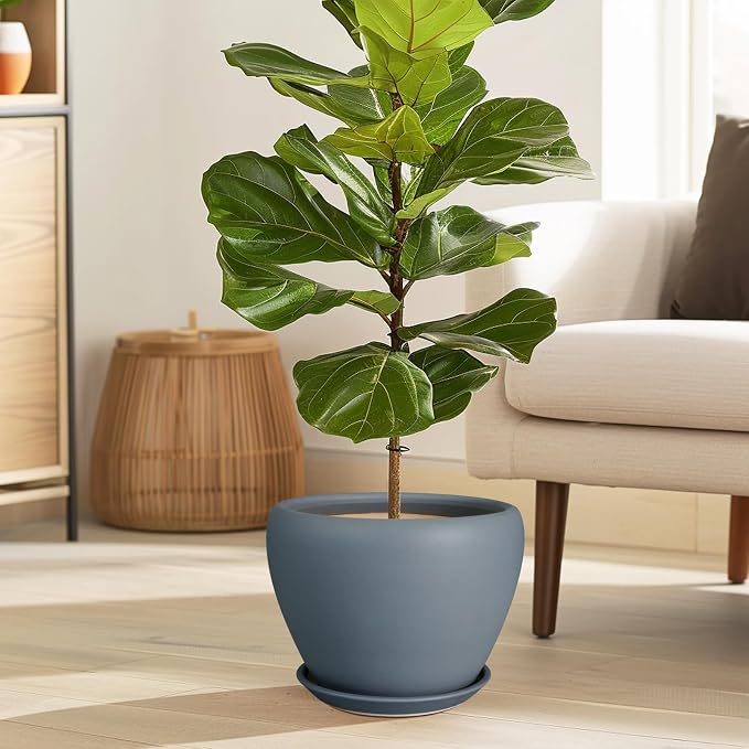 Ceramicfor Ceramic Pot for Plants - 8 Inch Plant Pot Indoor with Drainage Hole and Saucer Decorative Planter for Outdoor Plants Modern Flower Pot for Home Decor Garden Gray