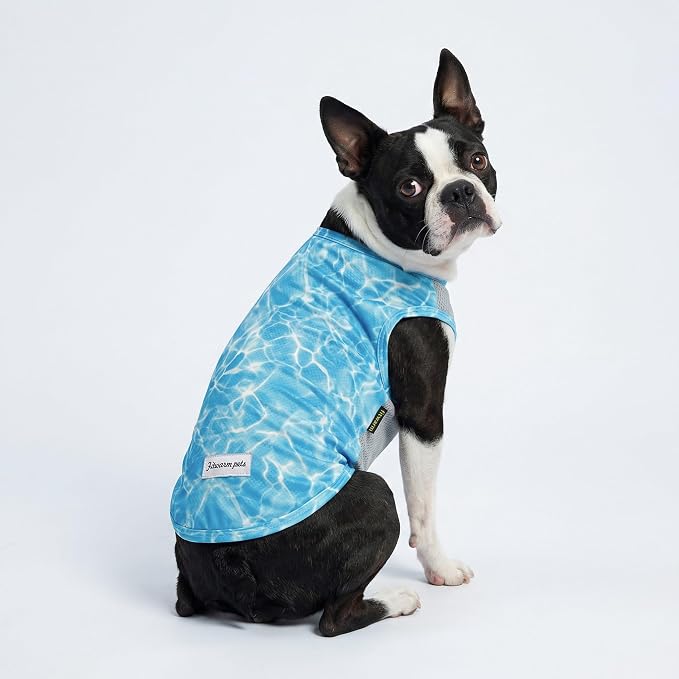 Fitwarm 2 Pack Marine UPF 50+ UV Sun Protection Dog Shirt, Lightweight Cooling Vest, Quick Dry Summer Clothes for Small Dogs Boy Girl, Pet Outfit, Sky Blue, Mint Green, XS
