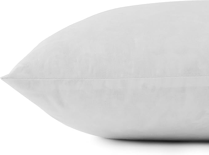 SNUG&COZY Luxury Goose Down Feather Pillow Inserts - 24x24IN, Double Layered Down-Proof Design, Ultra-Soft Cover, High Fill Weight, Pack of 2, White