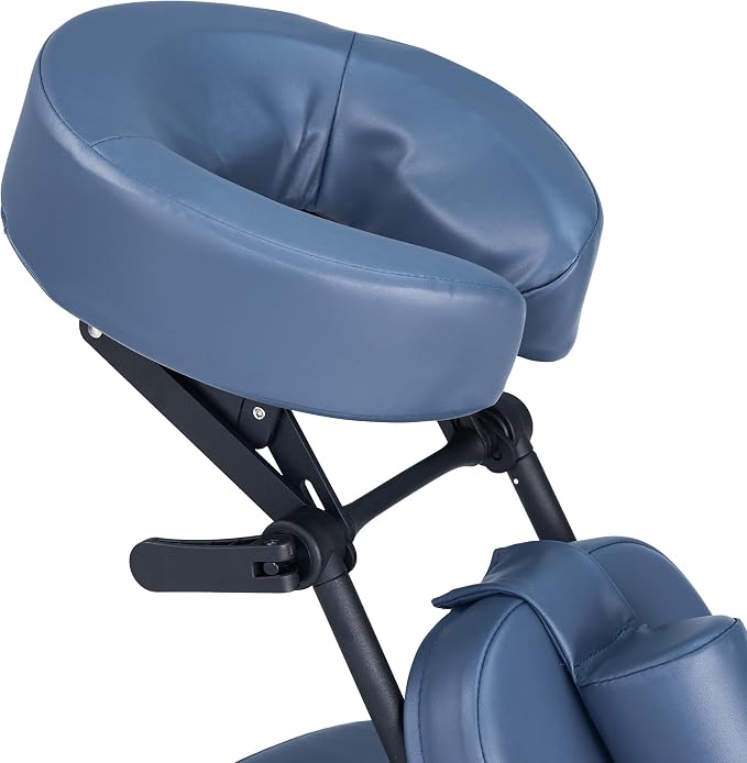 Professional Portable and Lightweight Tattoo/Massage Chair by Master Massage - Folding Aluminum Frame with Adjustable Features and Wheeled Carrying Case, Blue
