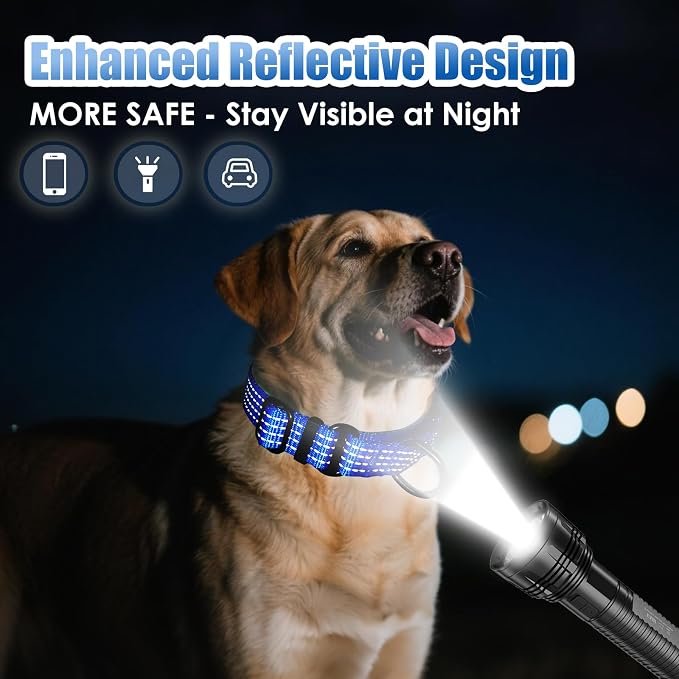 Martingale Dog Collar, Reflective No Pull with Buckle, Blue, S