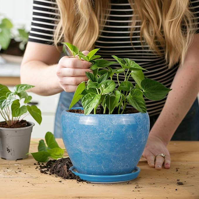 Ceramicfor 6 Inch Plant Pot - Ceramic Planter Pot with Drainage Hole and Saucer, Glaze Succulent Pot Modern Round Flower Pot for Indoor Plants, Blue