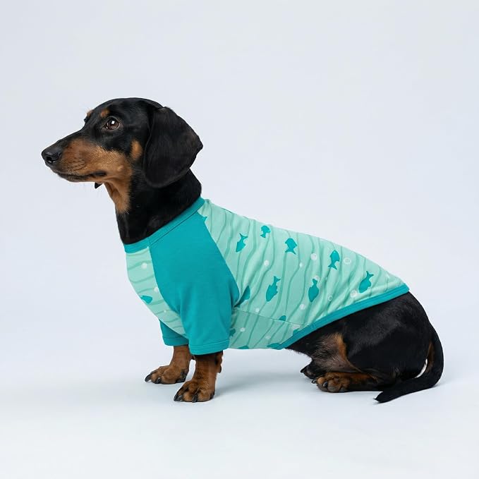 Fitwarm 2 Pack Dolphin & Fish Dog Shirt, Hawaiian Summer Clothes for Small Dogs Boy Girl, Lightweight Pet Outfit, Tea Blue, Green, XS