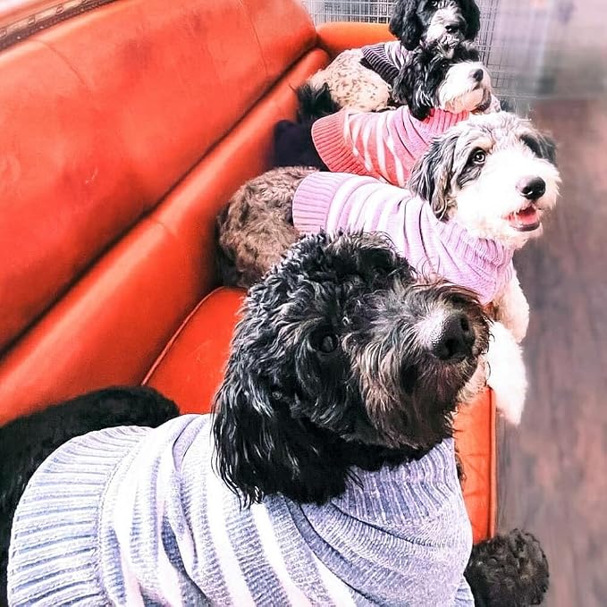 Blueberry Pet Cozy Soft Chenille Classy Striped Dog Sweater in Dark Plum, Back Length 10", Pack of 1 Clothes for Dogs