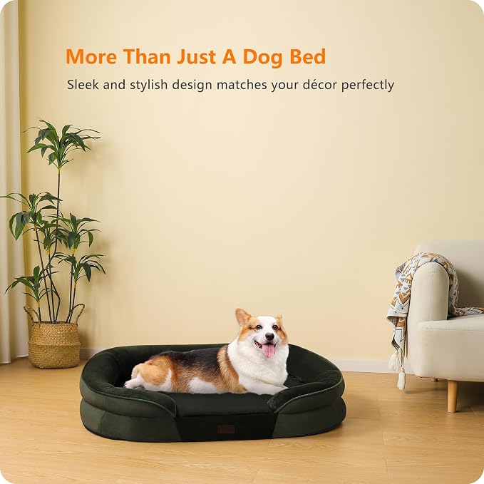 Dwanton Orthopedic Waterproof Medium Dog Bed Sofa, Gel Memory Foam, 36" | Egg-Crate Foam Dog Sofa, Washable Pet Bed with Four Sided Bolster Cushion, Removable Cover & Non-Slip Bottom, Green