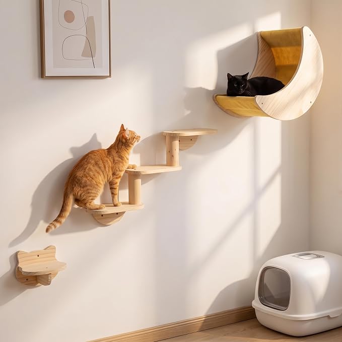 Cat Wall Shelves, Solid Wood Moon Bed, 3-Step Ladder & Perch for Climbing | 3-in-1 Wall-Mounted Cat Furniture;16-Inch Stud Wall;Hold Up to 40 lb;Wall & Corner Setup;Vertical Territory & Active Exercise