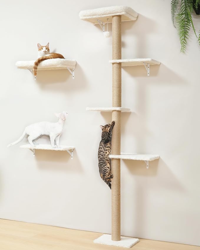 FUKUMARU Cat Wall Shelves Set, 70 inch Wall Mounted Tree, Beige | Kitten Scratching Post with Soft Cushion Perch, Space Saving Climbing Wall Furniture for 16 Inch Drywall