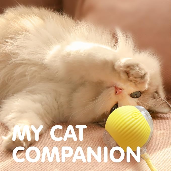 Rocfish Durable Interactive Cat Toys for Indoor Cats (Yellow, 01)