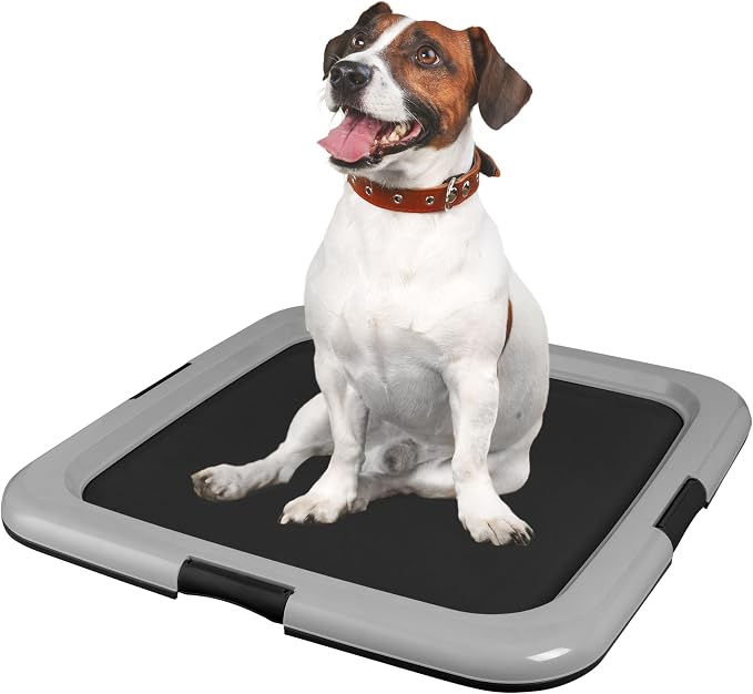 IRIS USA Pee Pad Holder, 2-Pack, Fits 22x22 Pads, Black/Gray, Made in USA | Dog Training Pad Holder, Holds Pads in Place, Leakproof Design, Secure Latches, Non-Skid Feet, Easy Clean Surface