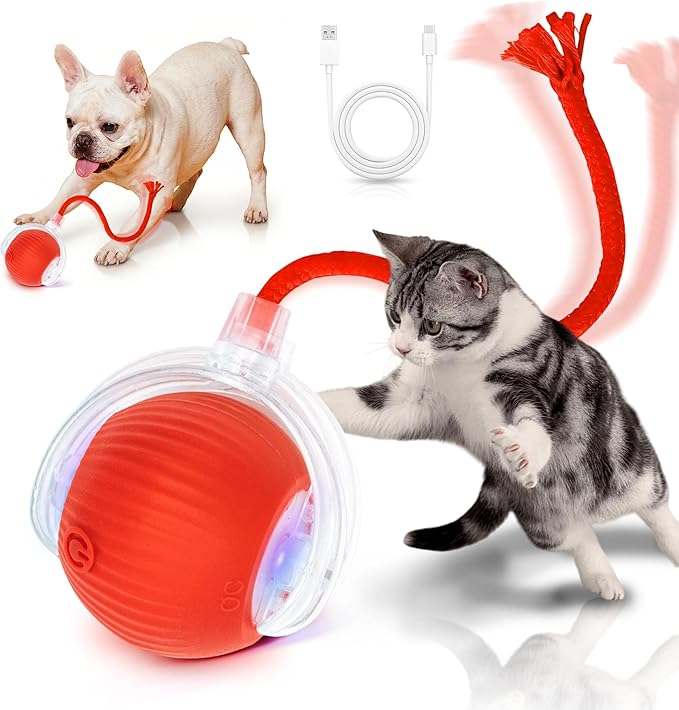 Cat Toys for Indoor Cats Smart Automatic Bal Moving Chase Dogs Toy, Red | Ball Rolling for Bored Kitten Pet, Upgraded Speedy Moving Chase Dogs Toy