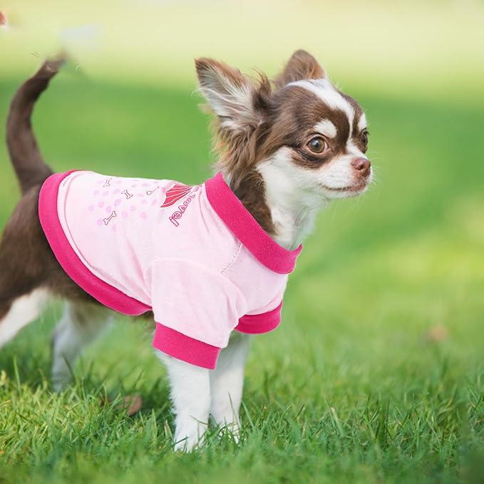 4 Pieces Girl Dog Clothes Spring Summer Dog Shirts Cute Soft Breathable Pet T-Shirt Puppy Clothes for Small Medium Dog Girl and Cat (Medium)