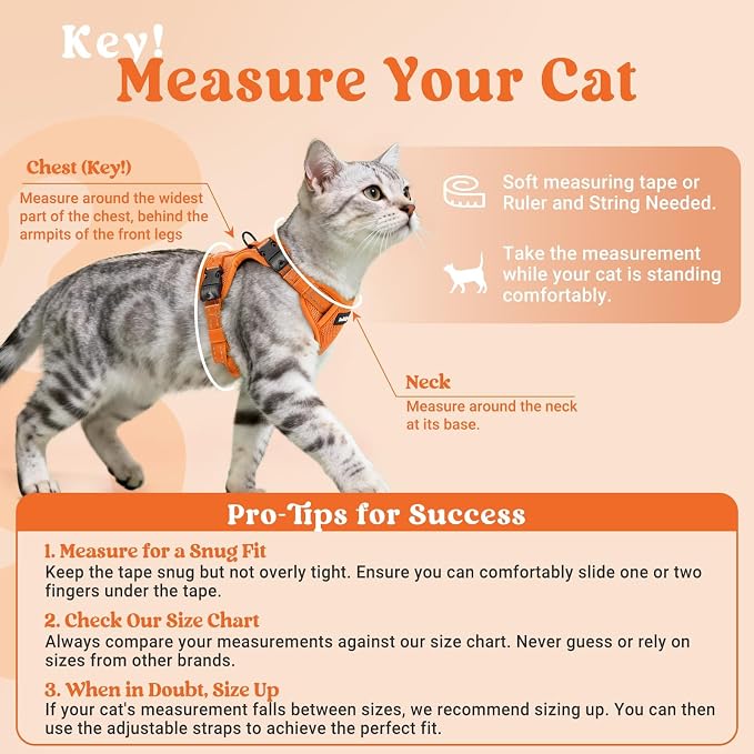 rabbitgoo Cat Harness and Leash, Easy-on with Neck Buckle, Orange